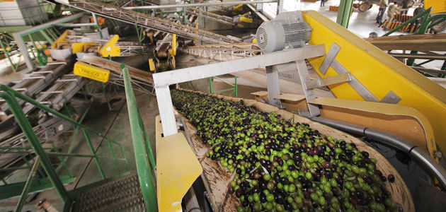Mercado de aceite de oliva en febrero: producción acumulada de 652.086 t. y unas salidas de 82.950 t.
