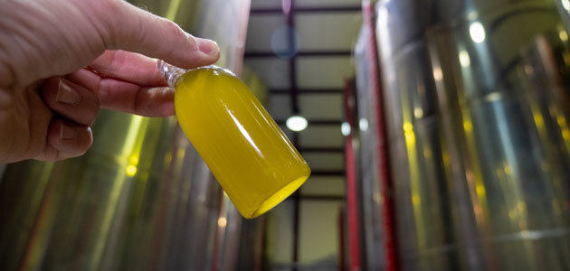 Buen ritmo de producción y salidas de aceite de oliva en noviembre