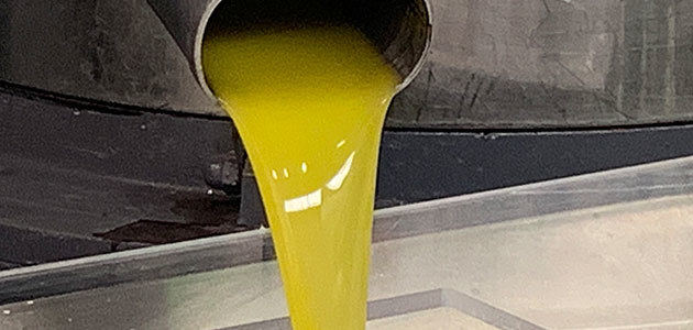 Récord de comercialización de aceite de oliva en la campaña 2019/20 con 1,62 millones de toneladas