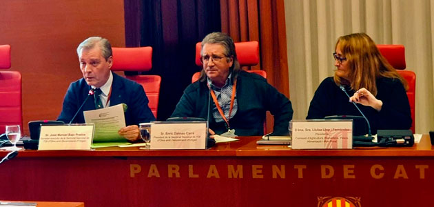 La Sectorial del AOV con DOP solicita un etiquetado de información saludable y los mismos requisitos a los aceites extracomunitarios