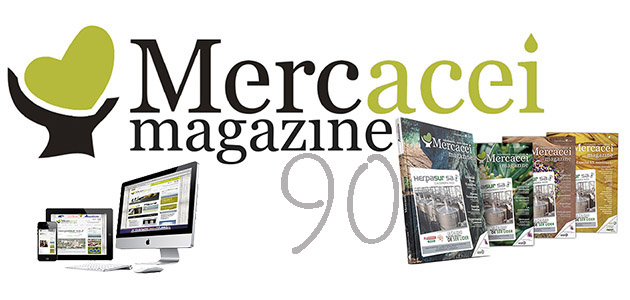 4 RAZONES PARA NO DEJAR PASAR ESTA OPORTUNIDAD