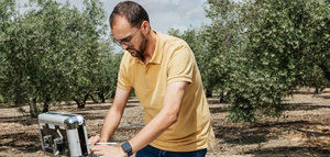 Arrancan en febrero los Seminarios Citoliva: seis jornadas para abordar los retos del olivar ante el cambio climático