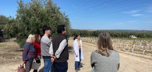 Un centenar de profesionales del sector oleícola de Jaén participa en la primera entrega de los Seminarios Citoliva