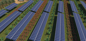 SENS une producción energética y agrícola en un nuevo parque fotovoltaico de Sicilia