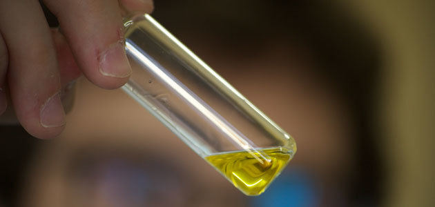 La Interprofesional del Aceite de Oliva muestra los avances en el método instrumental para clasificar los aceites de oliva vírgenes