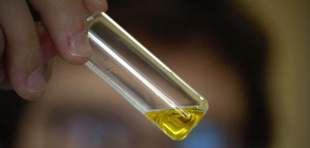 Avances en la aplicación de métodos instrumentales para clasificar los aceites de oliva vírgenes