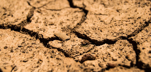 COAG advierte de que el 50% del campo español se encuentra ya en situación de alerta por sequía
