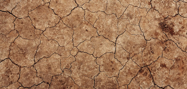 La CE publica nuevas herramientas para prever y adaptarse a las consecuencias de las sequías