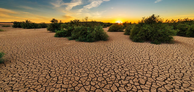 España solicitará a la UE la activación de medidas para paliar los efectos de la sequía