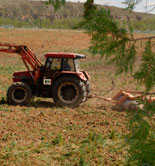 El Magrama agiliza la puesta en marcha de medidas para paliar las pérdidas ocasionadas por la sequía