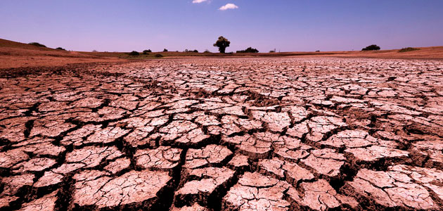 El Gobierno aprueba medidas urgentes de apoyo al sector agrario frente a la sequía