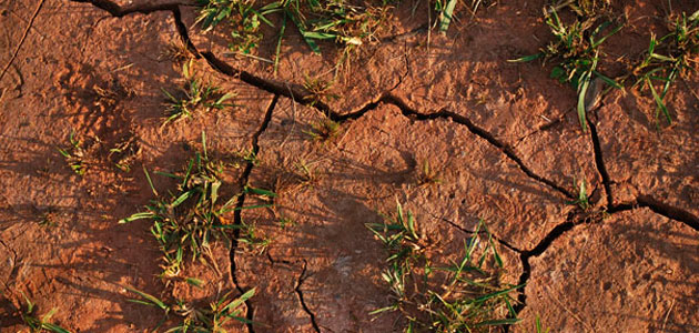 Planas anuncia la próxima convocatoria del grupo de seguimiento de la sequía