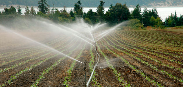 El grupo de trabajo de la Mesa de la Sequía se reunirá el 5 de septiembre para evaluar la situación actual en el sector agrario