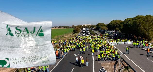 Los agricultores de Sevilla vuelven esta semana a las carreteras