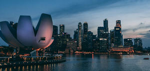 Oportunidades del mercado de aceite de oliva en Singapur: alimentación saludable, diversificación, reexportación, DOPs y canal on line