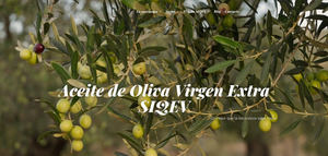 QvExtra! lanza su nueva página web y estrena imagen en 2026