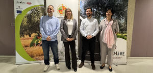 Soil O-Live amplía el II Concurso Internacional de Aceite de Oliva a todos los productores