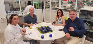 Fallados los premios de la tercera edición del Concurso Internacional de Aceite de Oliva "Soil O-Live"