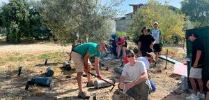 Soil O-Live avanza en la regeneración de los suelos de olivar iniciando dos ensayos que utilizan técnicas electroquímicas