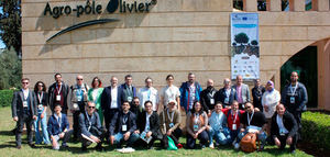 Soil O-Live consolida su estrategia de cooperación internacional para la sostenibilidad del olivar mediterráneo