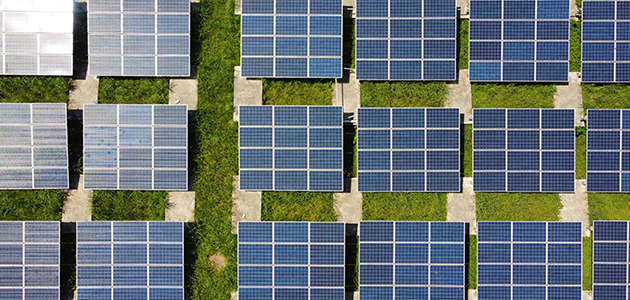 Grupo Interóleo ejecuta un Plan Solar integral para reducir los costes de producción de sus cooperativas y almazaras socias
