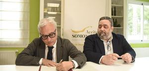Aceite del Somontano obtiene la protección nacional transitoria para comercializarse como DOP en España