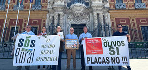 Entregan más de 55.000 firmas contra la tala de olivos centenarios para instalar plantas solares