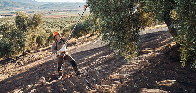 STIHL presenta en Expoliva sus nuevos vareadores de batería SPA 130 y 140