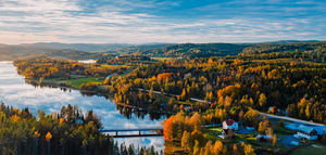 Oportunidades del mercado sueco de aceite de oliva: estilo de vida saludable, innovación y sostenibilidad