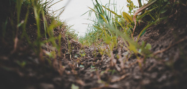 SQAPP: La app que ayuda a los agricultores a mejorar la calidad de los suelos