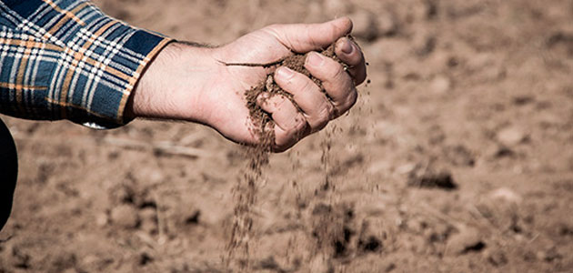 UPA desarrolla un programa para mejorar la materia orgánica de los suelos agrícolas