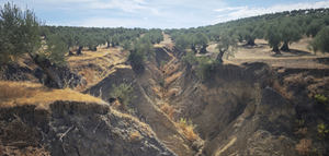 Los suelos agrícolas, víctimas silenciosas de las borrascas