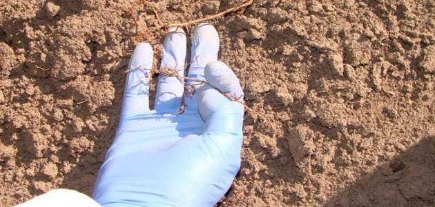 Un estudio sobre la profundidad del suelo en EEUU determina cómo el clima y el uso humano afectan a su erosión