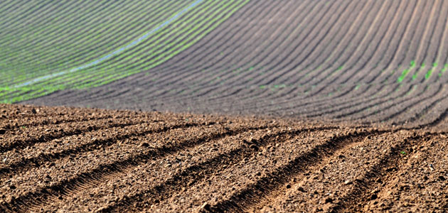 El MAPA prepara una nueva norma sobre nutrición sostenible en los suelos agrarios