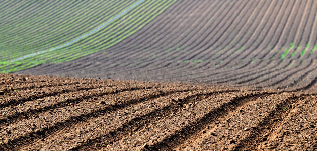 El MAPA prepara una nueva norma sobre nutrición sostenible en los suelos agrarios