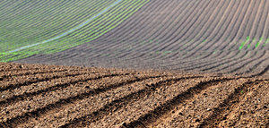 El MAPA prepara una nueva norma sobre nutrición sostenible en los suelos agrarios