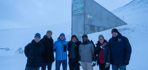 El olivo entra por primera vez en el mayor banco mundial de semillas