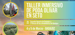 Destacan la importancia de una poda eficiente para mejorar la rentabilidad del olivar