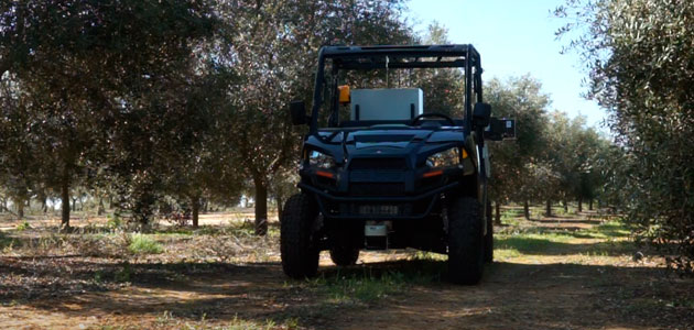 Robótica e Inteligencia Artificial al servicio de la rentabilidad en el olivar