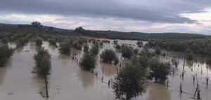 La CE avala las ayudas estatales de 1.500 millones de euros para apoyar a los agricultores afectados por las inundaciones en Andalucía y Extremadura
