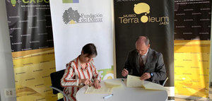 La Junta de Andalucía impulsa la cultura del olivar entre los escolares a través de un convenio con Caja Rural de Jaén