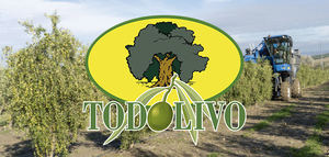 Todolivo: 40 años liderando la innovación y la modernización de la olivicultura