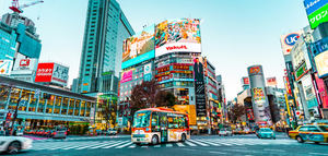 Oportunidades del mercado de aceite de oliva en Japón: impulso de la promoción y comercio electrónico