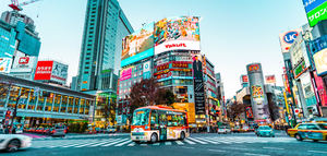 Discovery Zone Tokio 2026 mostrará la calidad de productos gourmet españoles como el AOVE en Japón
