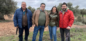 La provincia de Toledo obtiene la mayor cosecha de aceituna de las últimas seis campañas