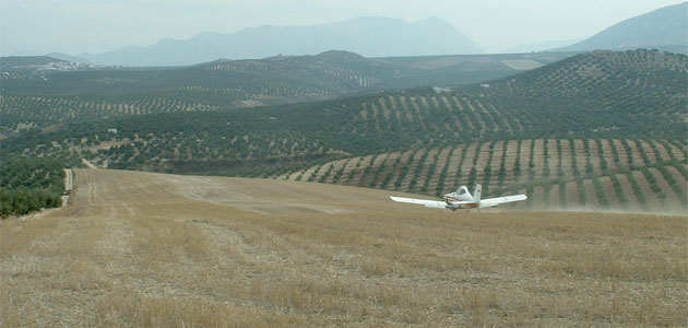La DOP Sierra Mágina obtiene luz verde para el tratamiento aéreo contra la mosca del olivo