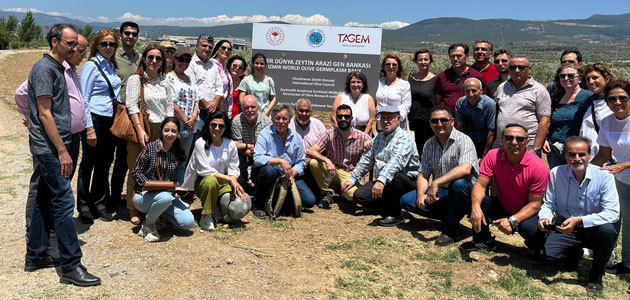 Turquía acoge un taller sobre la armonización de protocolos en el análisis agronómico de las variedades de olivo