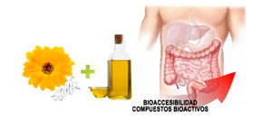 La absorción de compuestos bioactivos de caléndula mejora con aceite de oliva