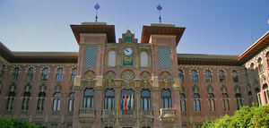 El olivar, una apuesta estratégica de la UCO