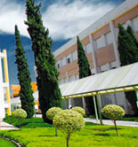 La UJA oferta el máster “Olivar, Aceite de Oliva y Salud” para el próximo curso 2014/15